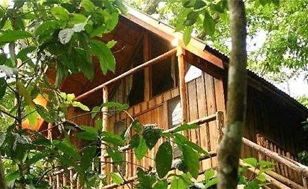 Bayrams Tree Houses Olympos Eksteriør billede