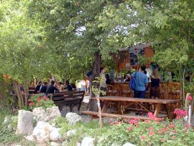 Bayrams Tree Houses Olympos Eksteriør billede